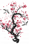 ink cherry blossom.png