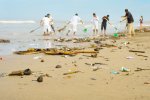 plastic-on-beaches-cleanup.jpg